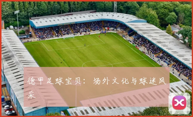 德甲足球宝贝:场外文化与球迷风采