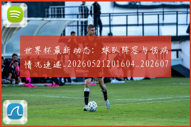 世界杯最新动态:球队阵容与伤病情况速递_20260521201604_20260702174217