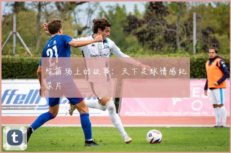 绿茵场上的故事：天下足球情感纪录片